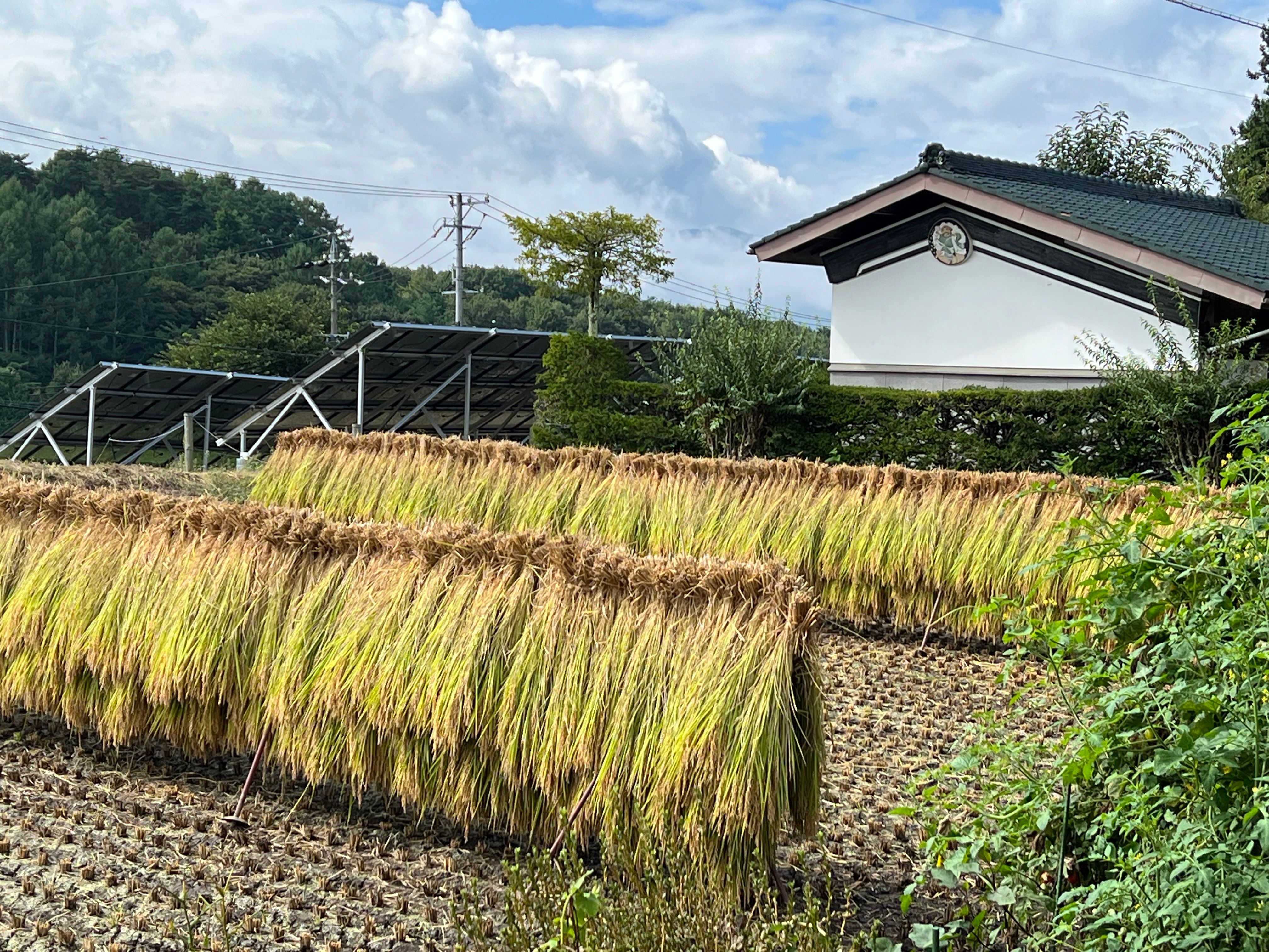 Image in a image block