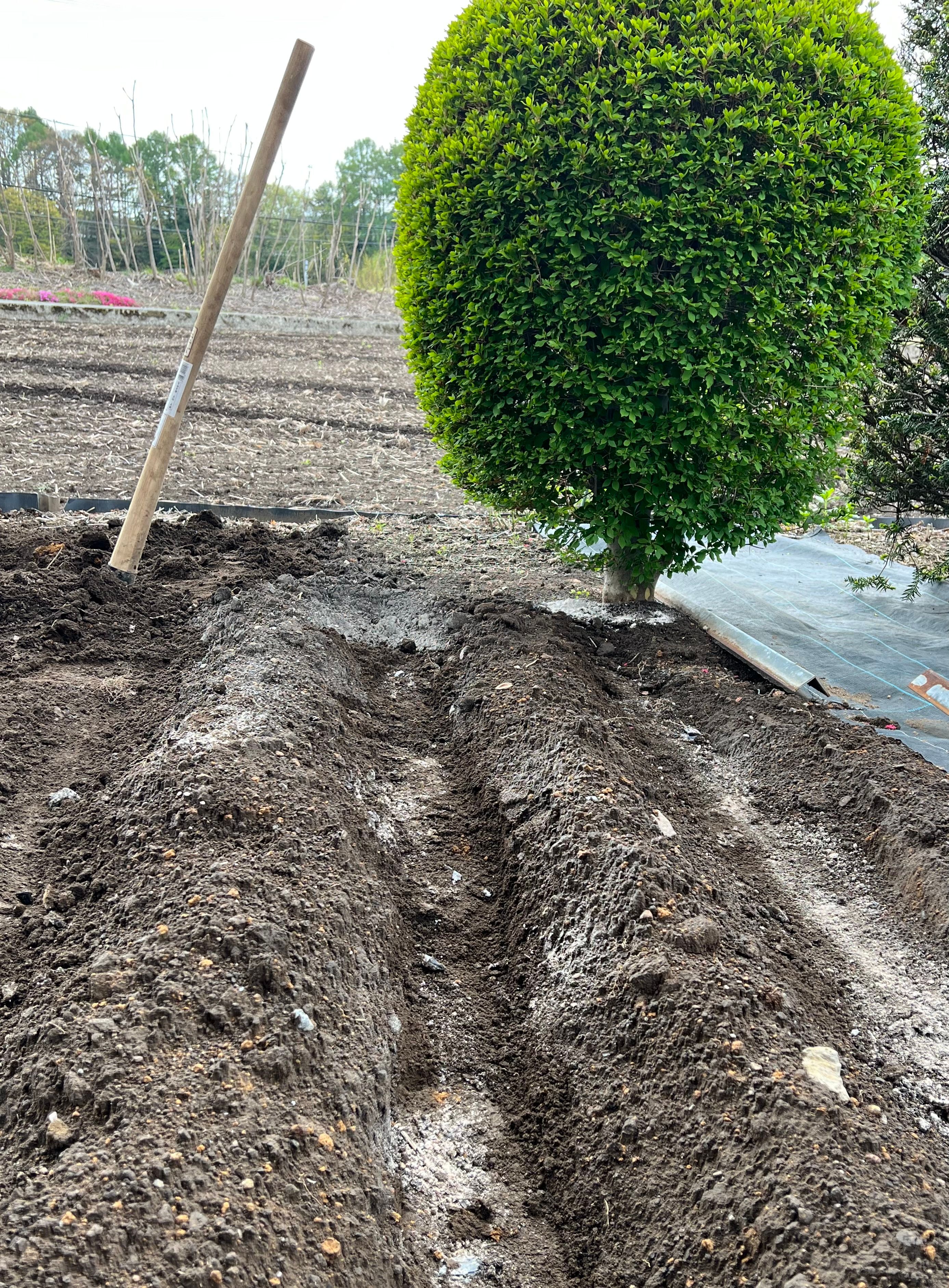 Image in a image block