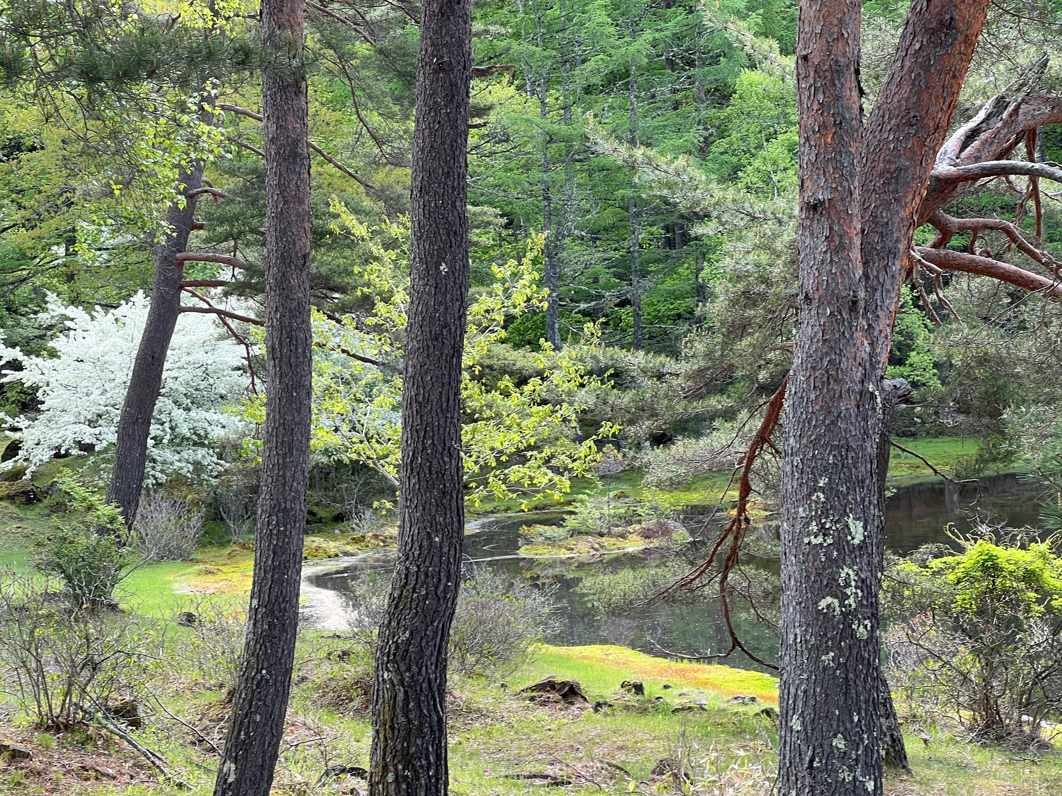 Image in a image block