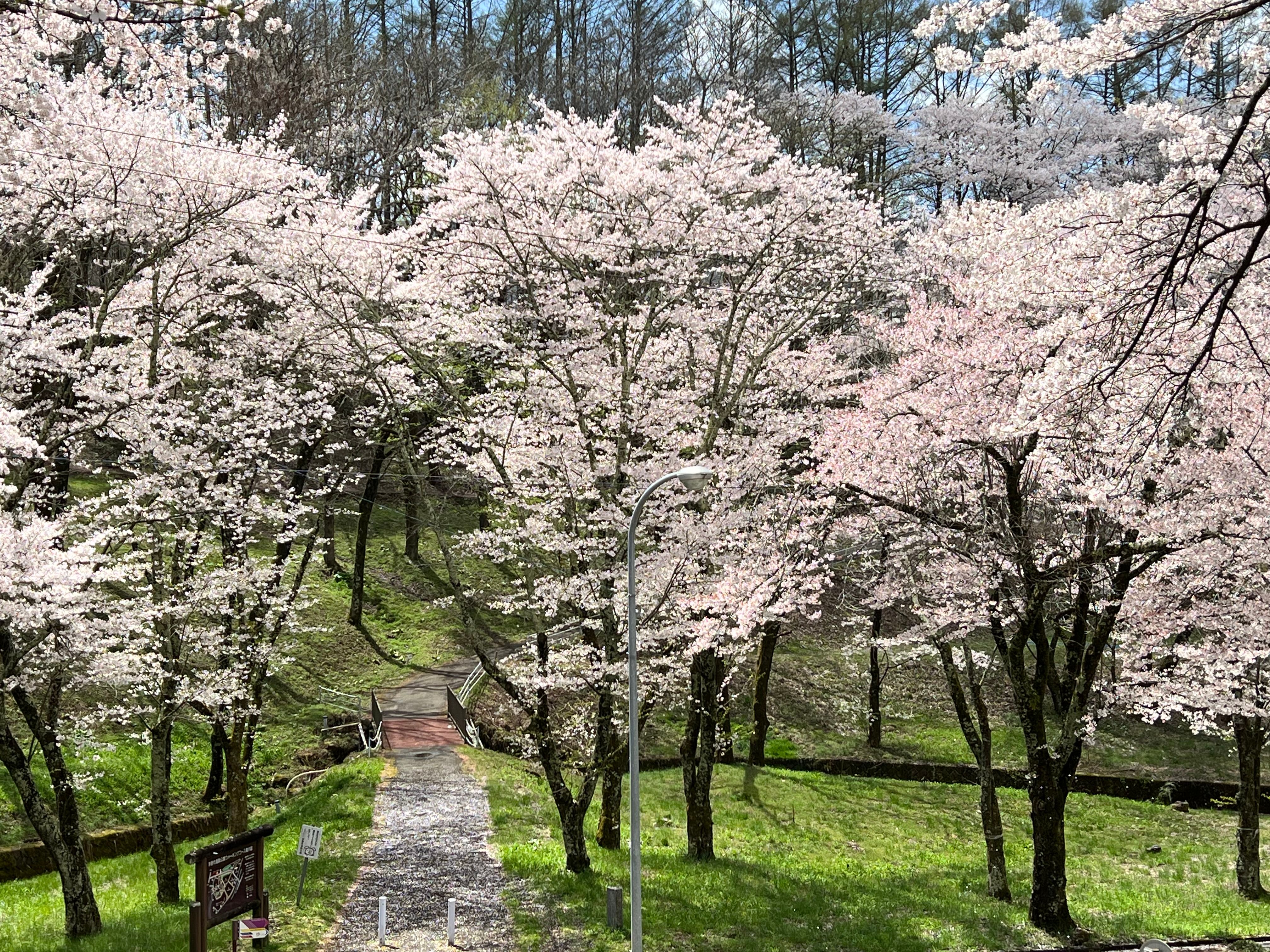 Image in a image block