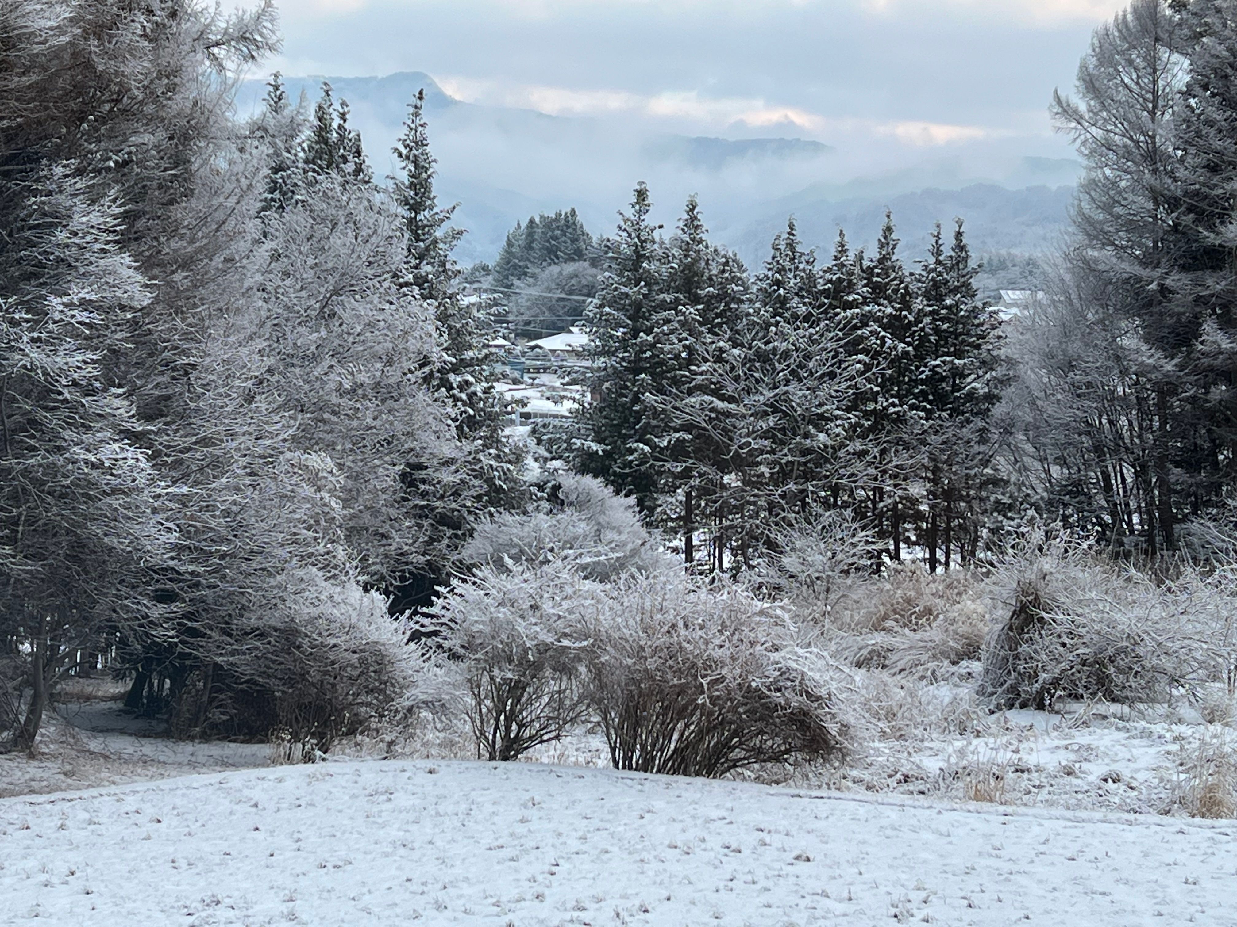 Image in a image block