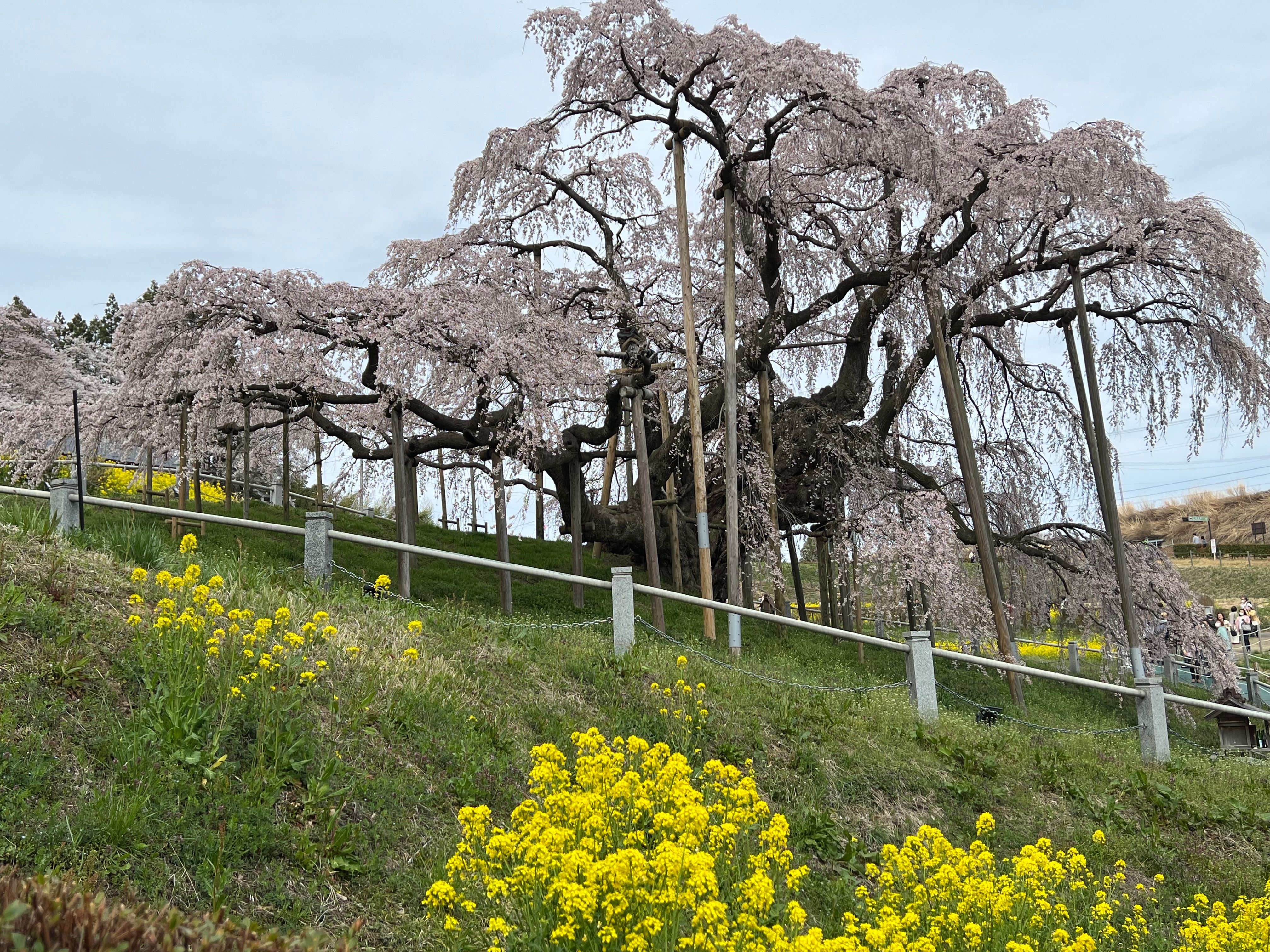 Image in a image block