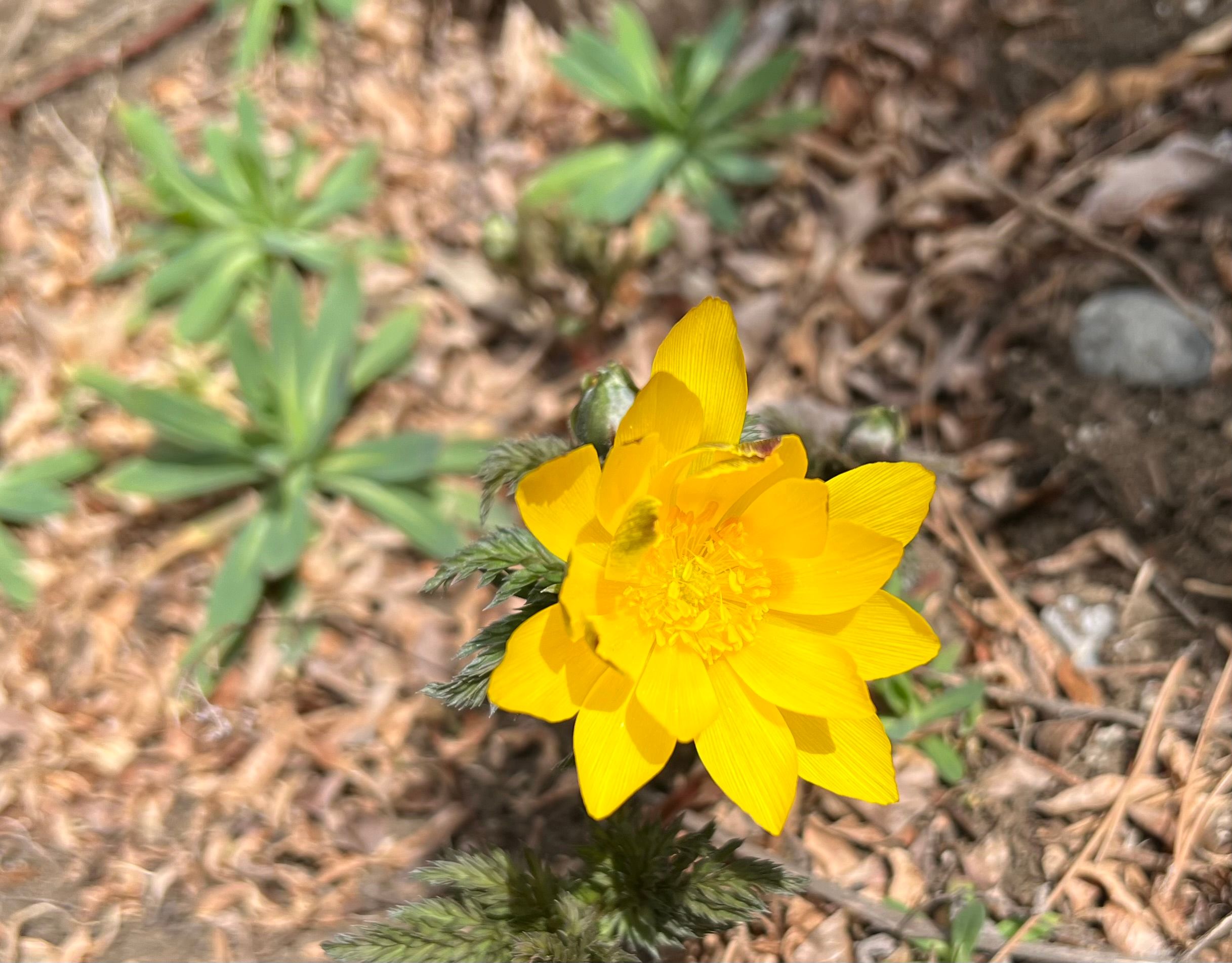 Featured image of the post