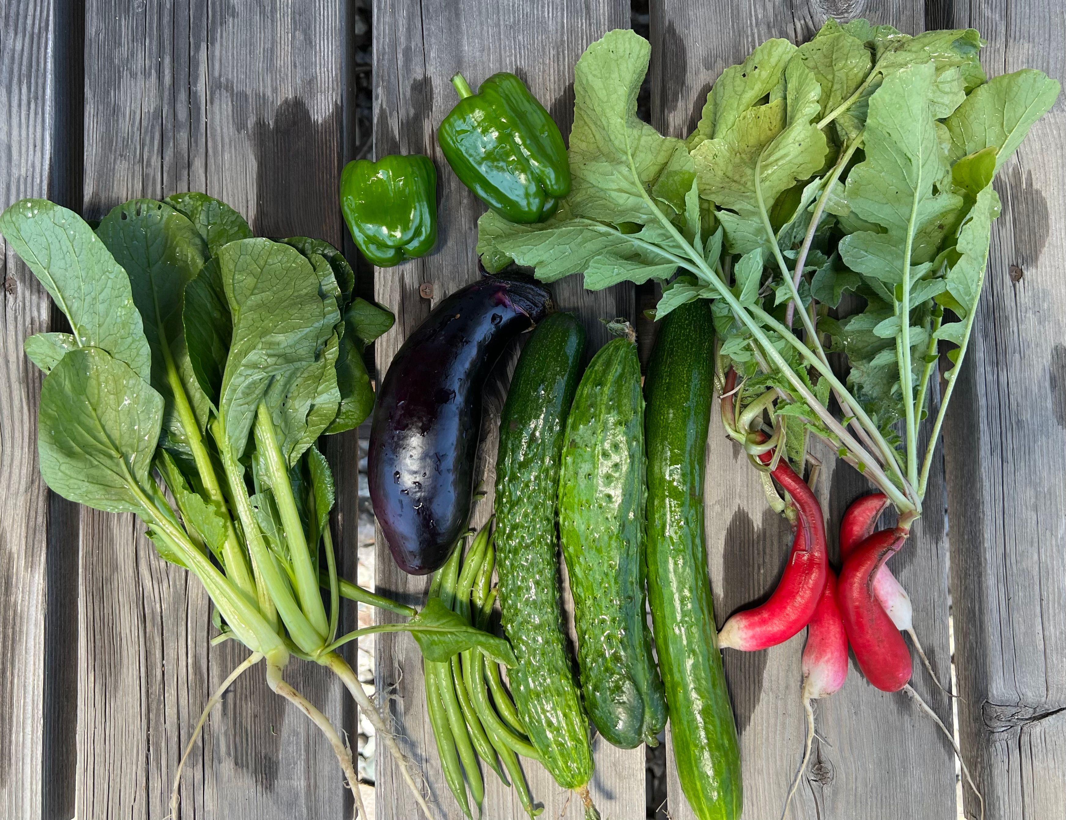 Featured image of the post