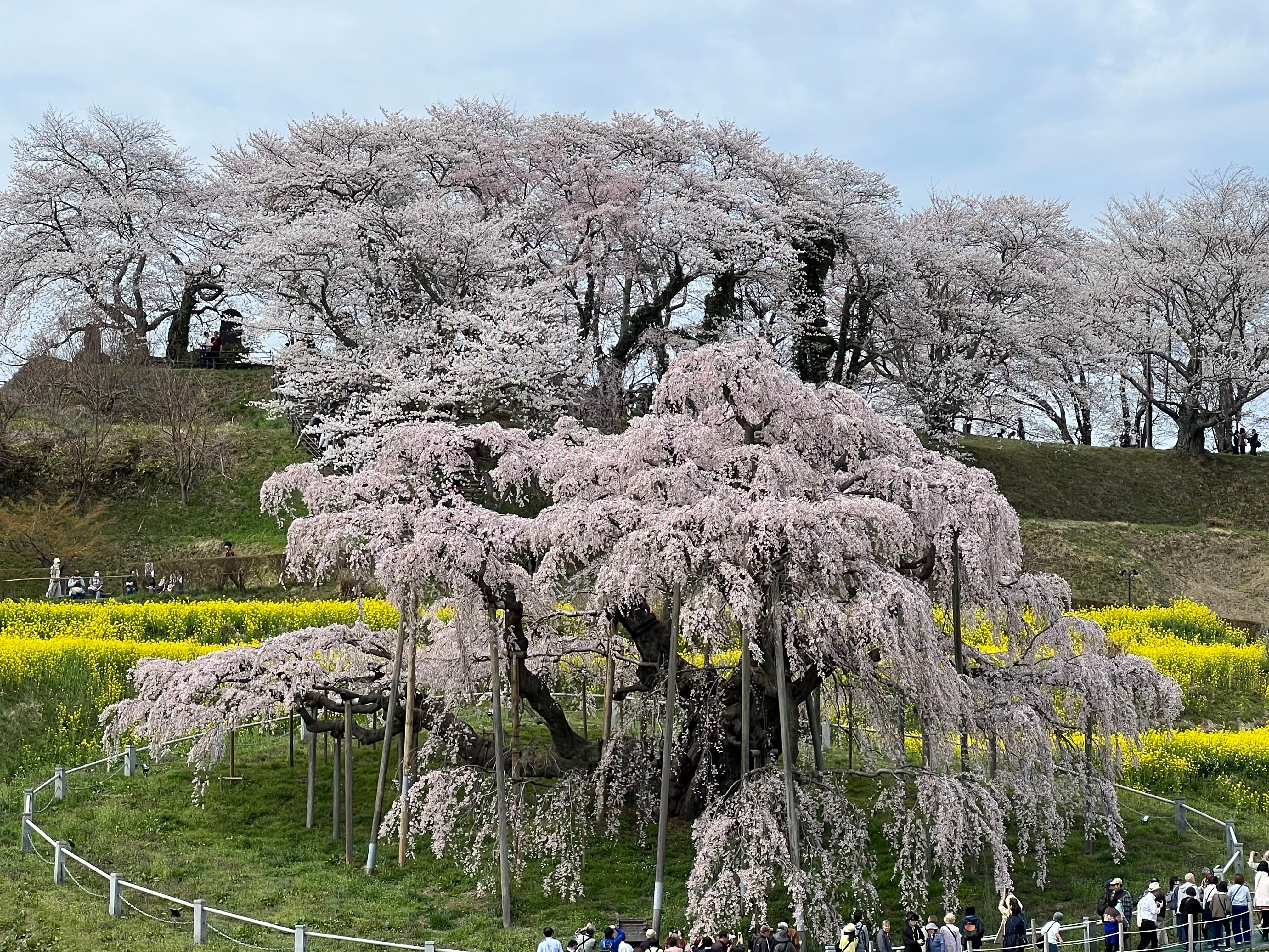 Image in a image block