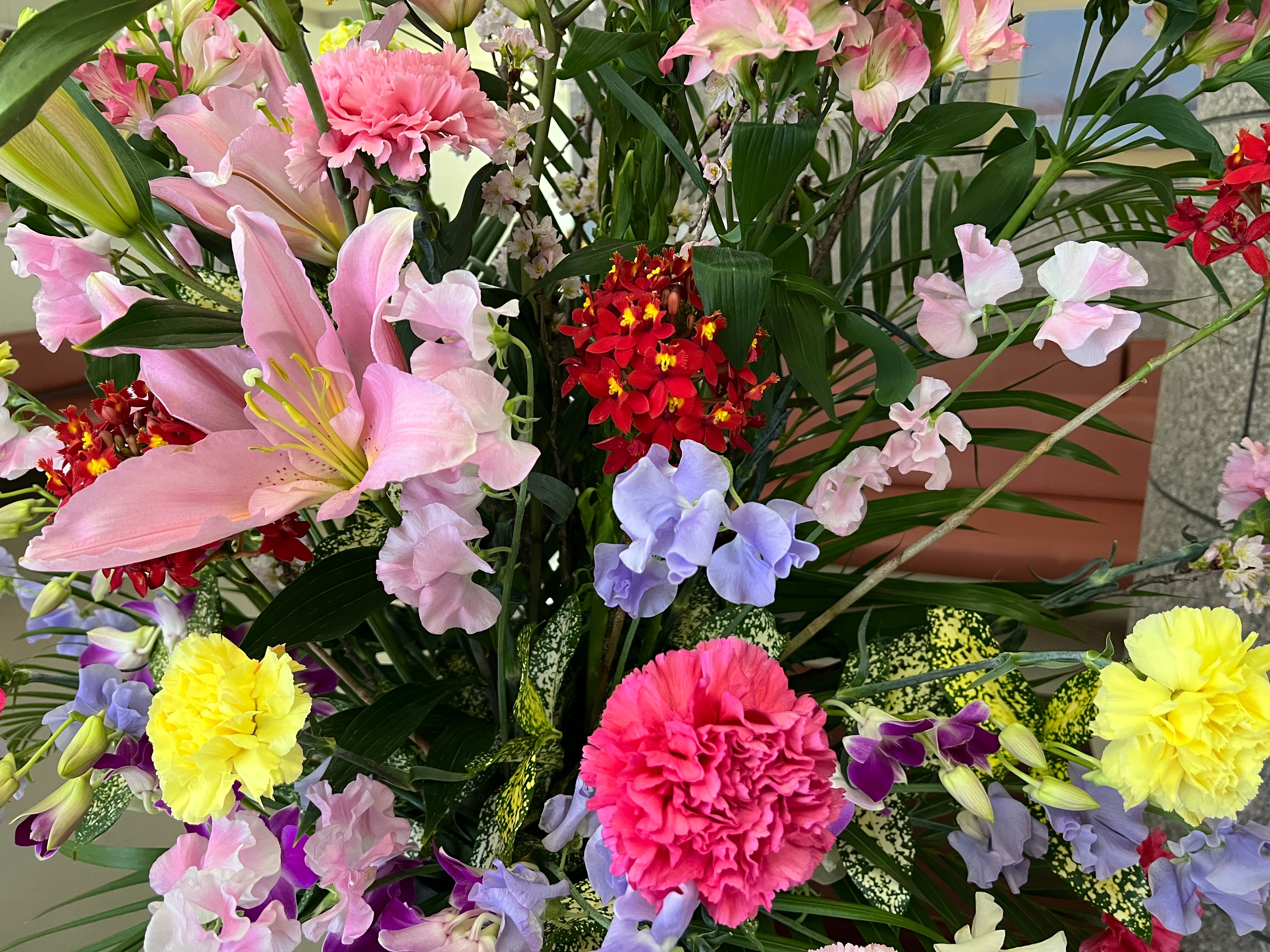 Featured image of the post