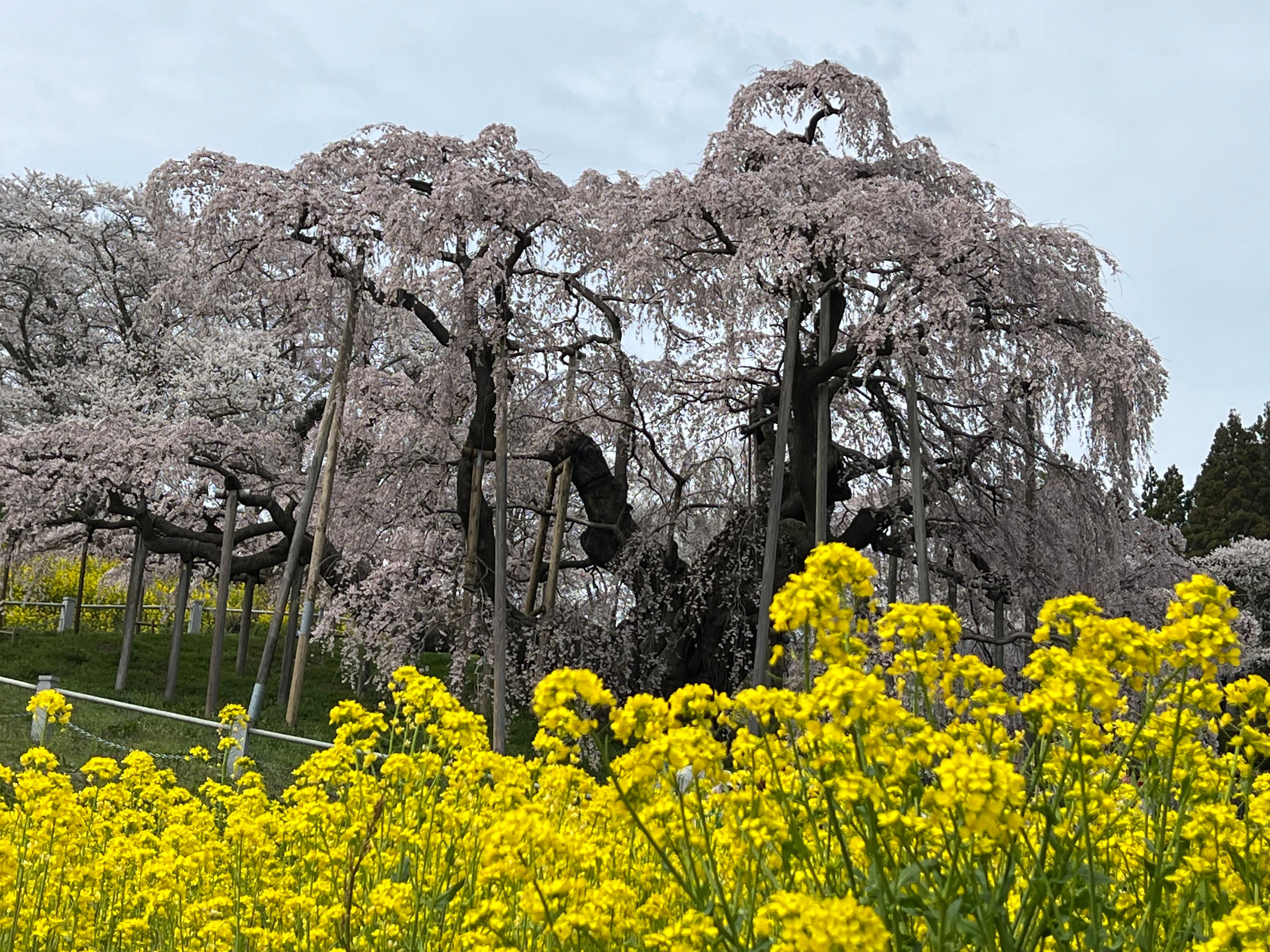 Image in a image block