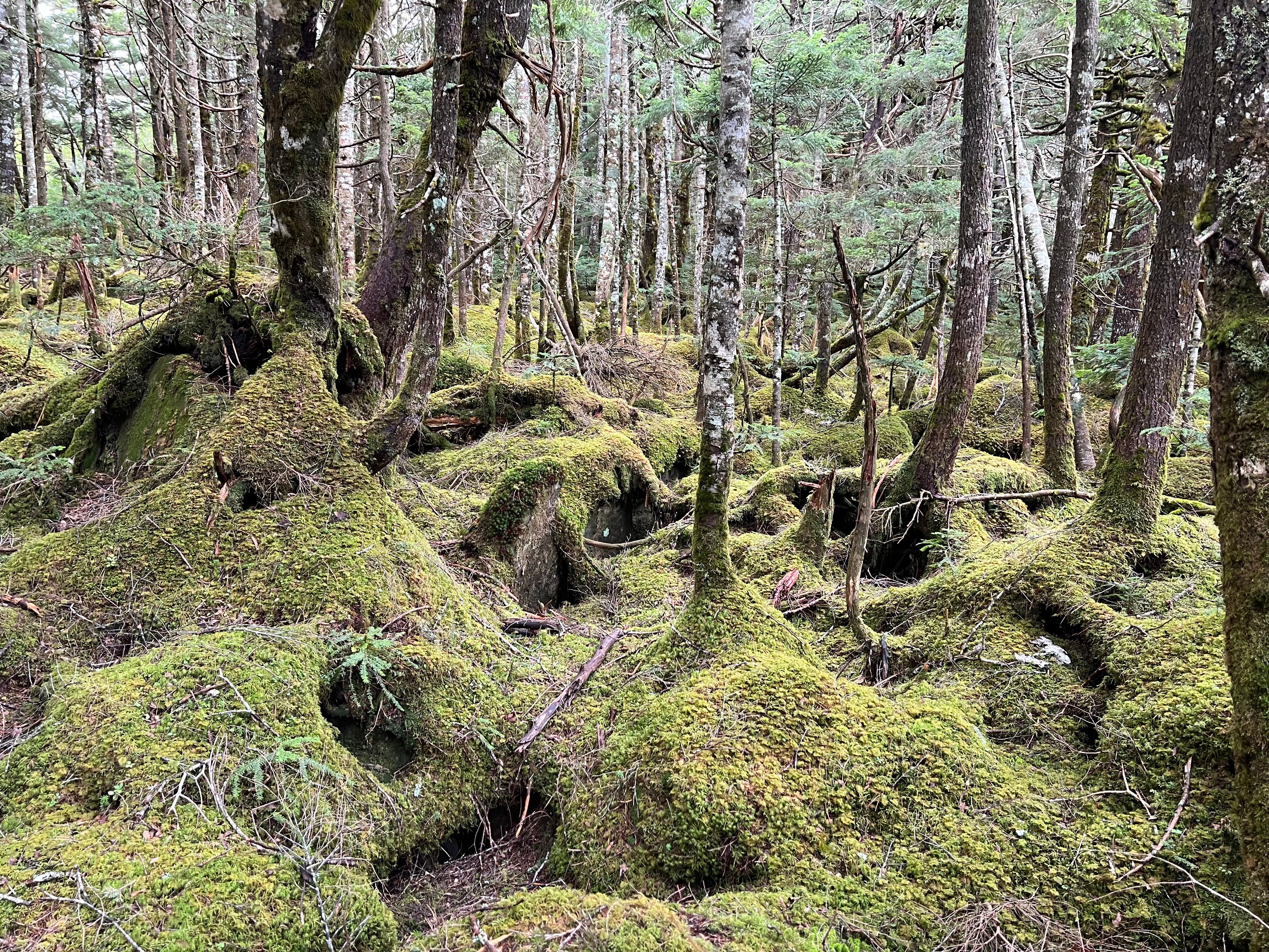 Featured image of the post