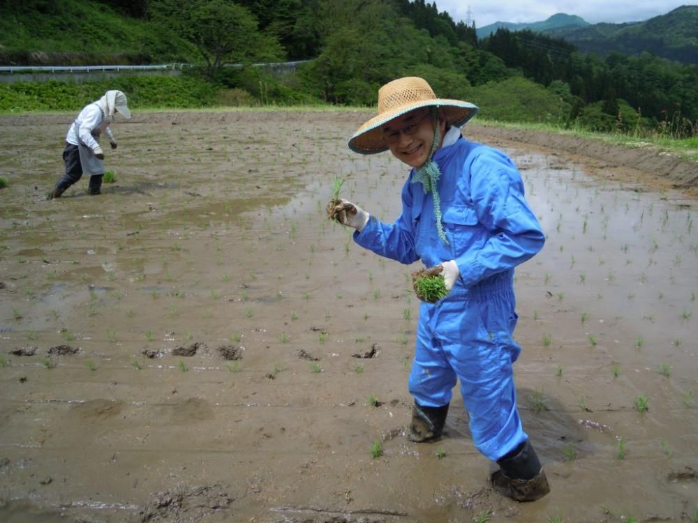 Featured image of the post