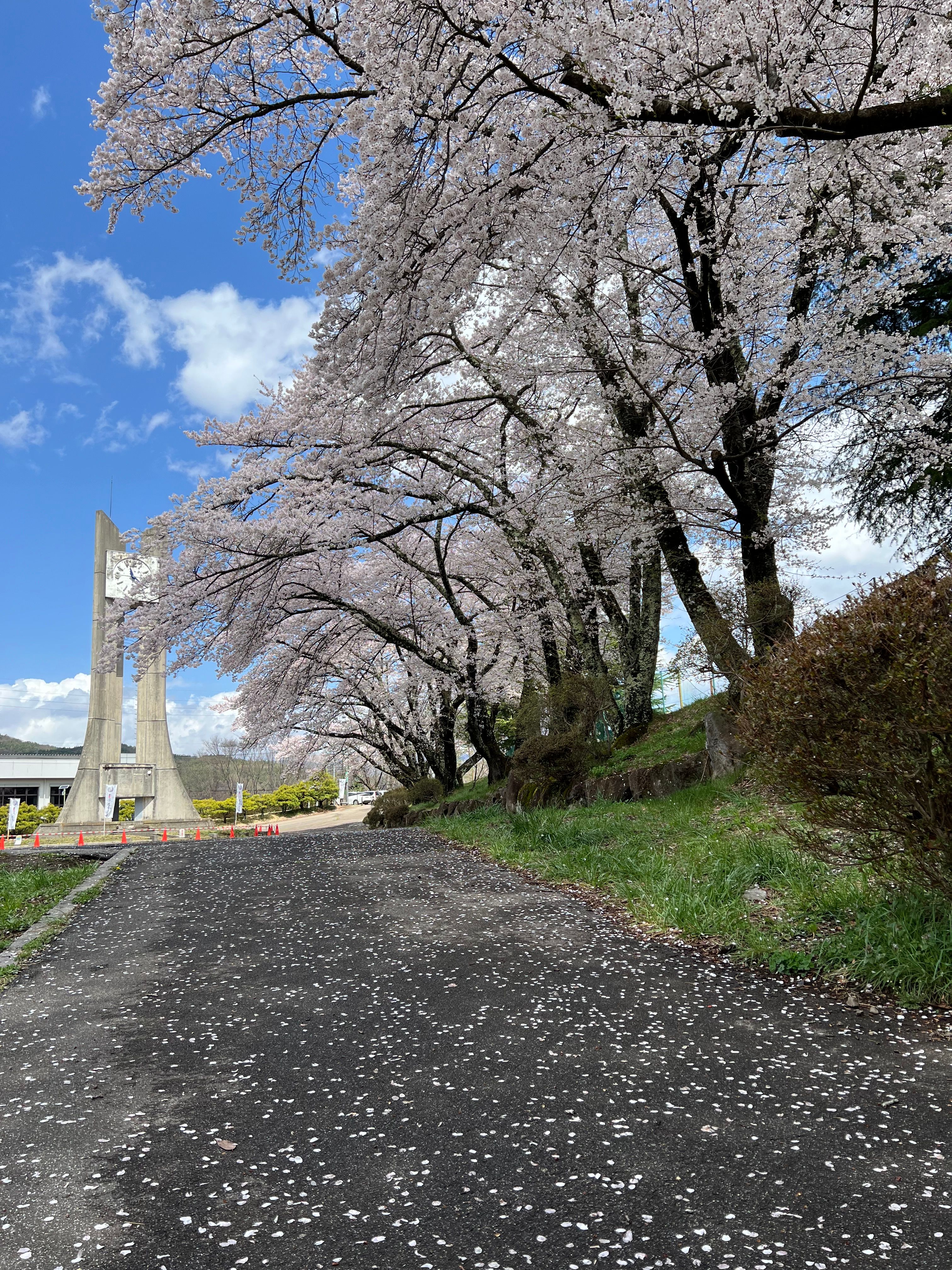 Image in a image block