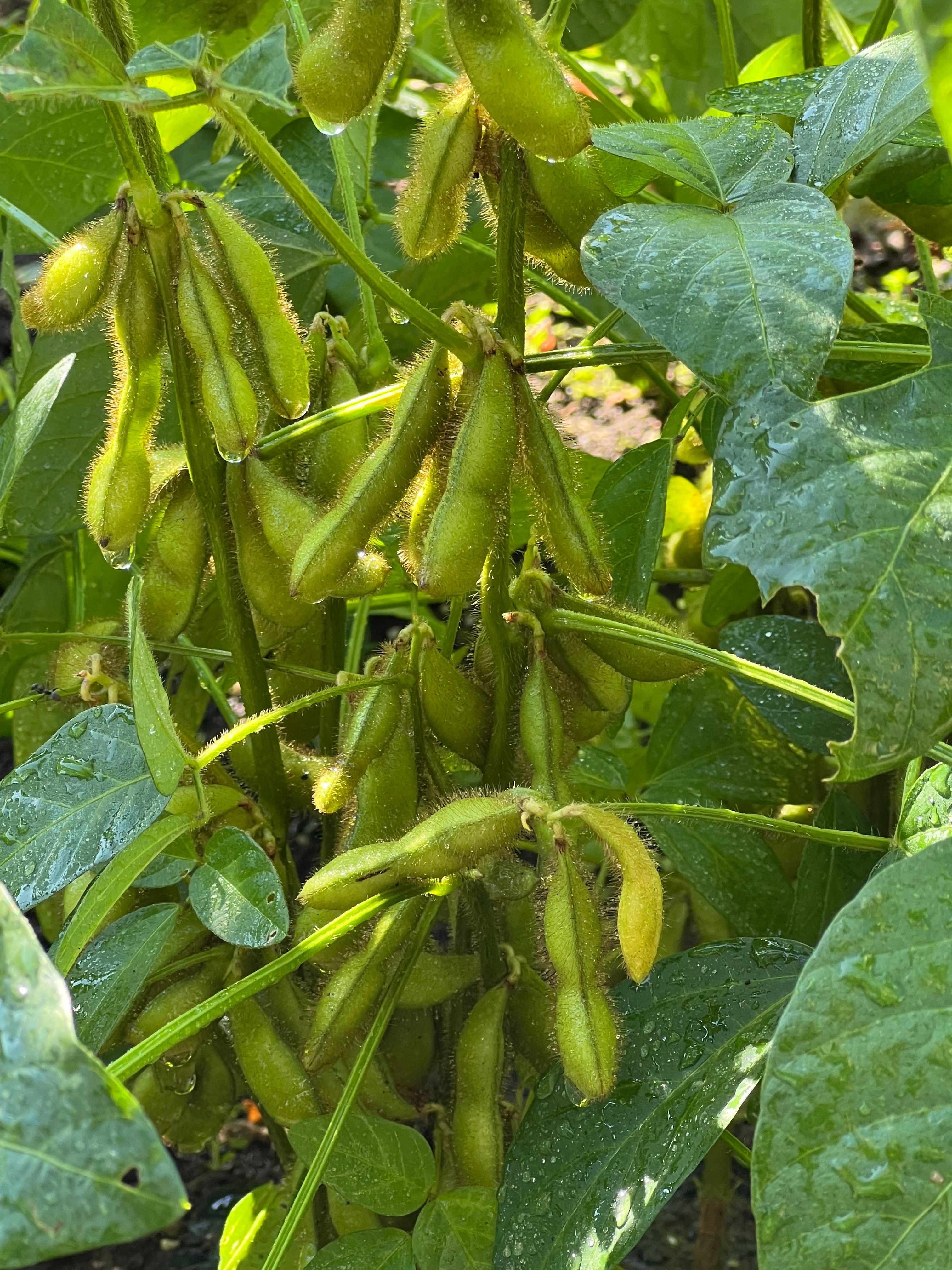 Featured image of the post