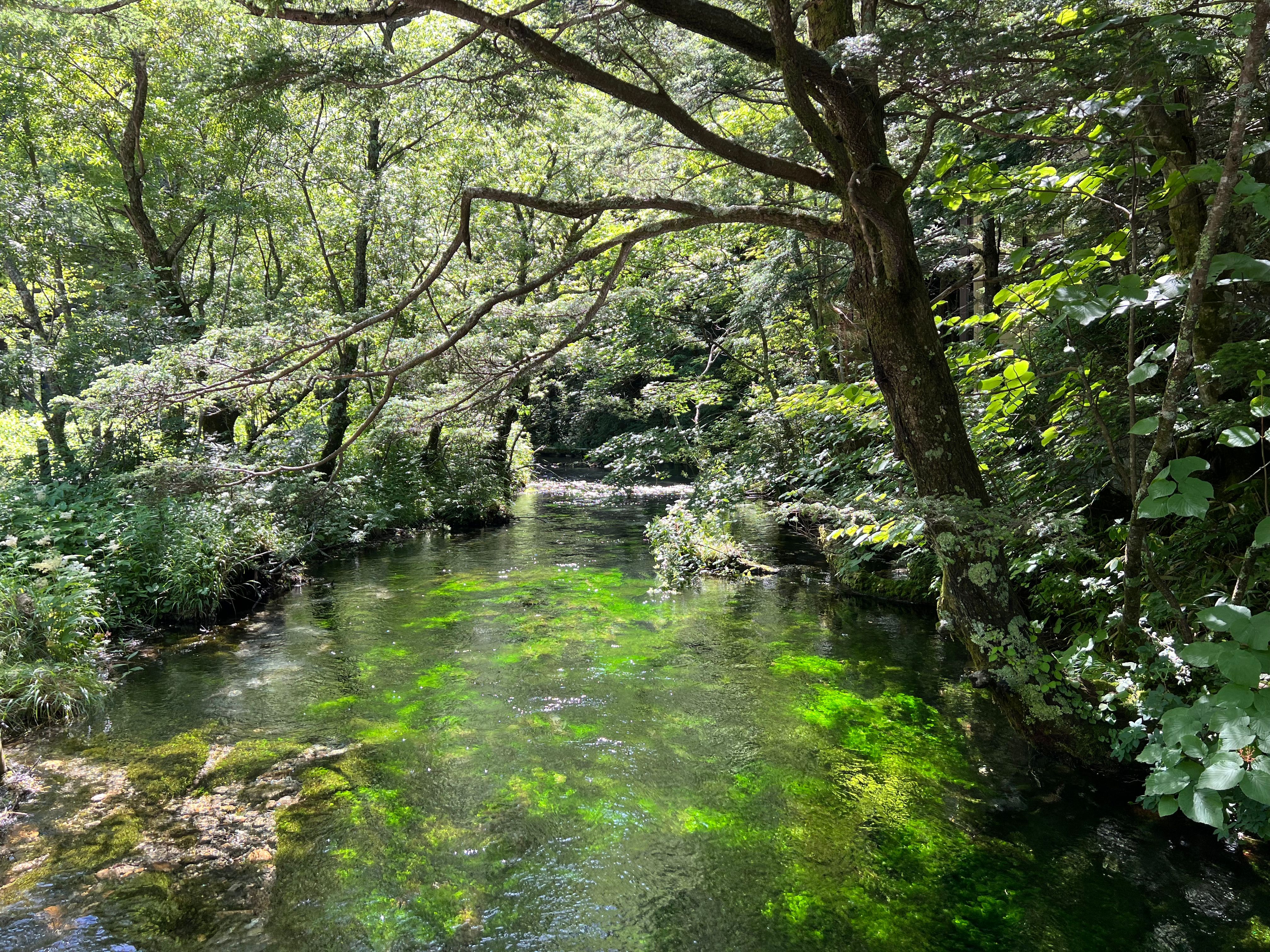 Image in a image block