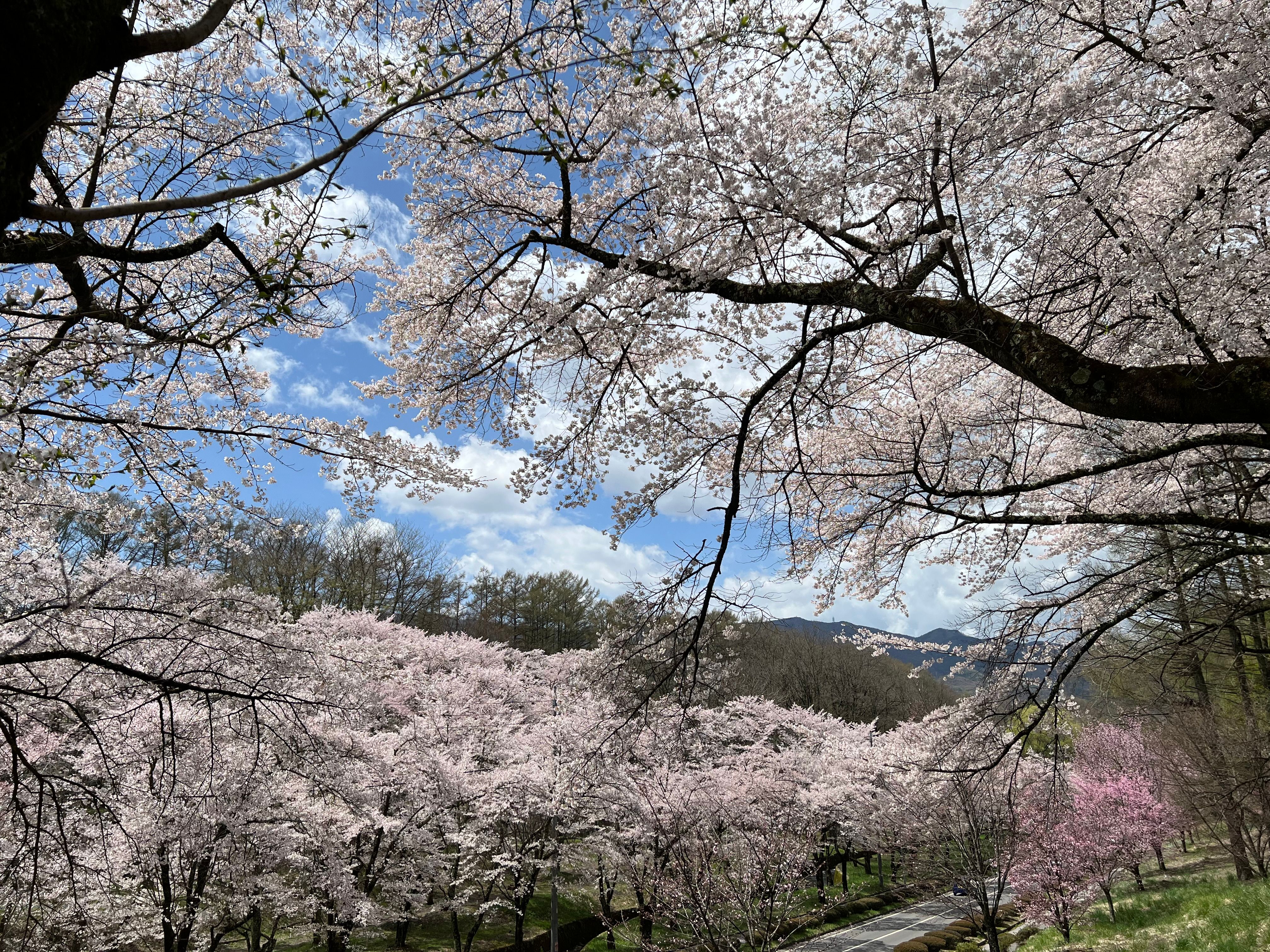 Image in a image block